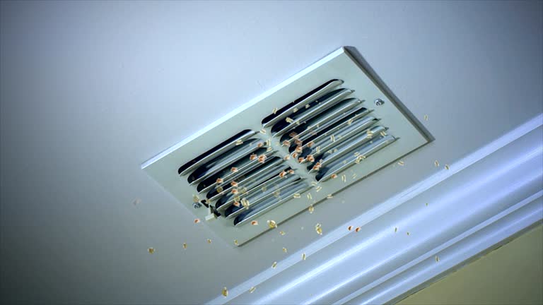 Best Best Air Duct Cleaning Company  in Tellico Plains, TN