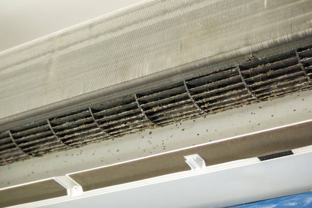 Best Residential Air Duct Cleaning  in Tellico Plains, TN